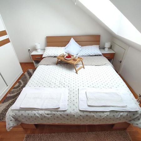 Apartman Ns Dan Private Parking Novi Sad Esterno foto