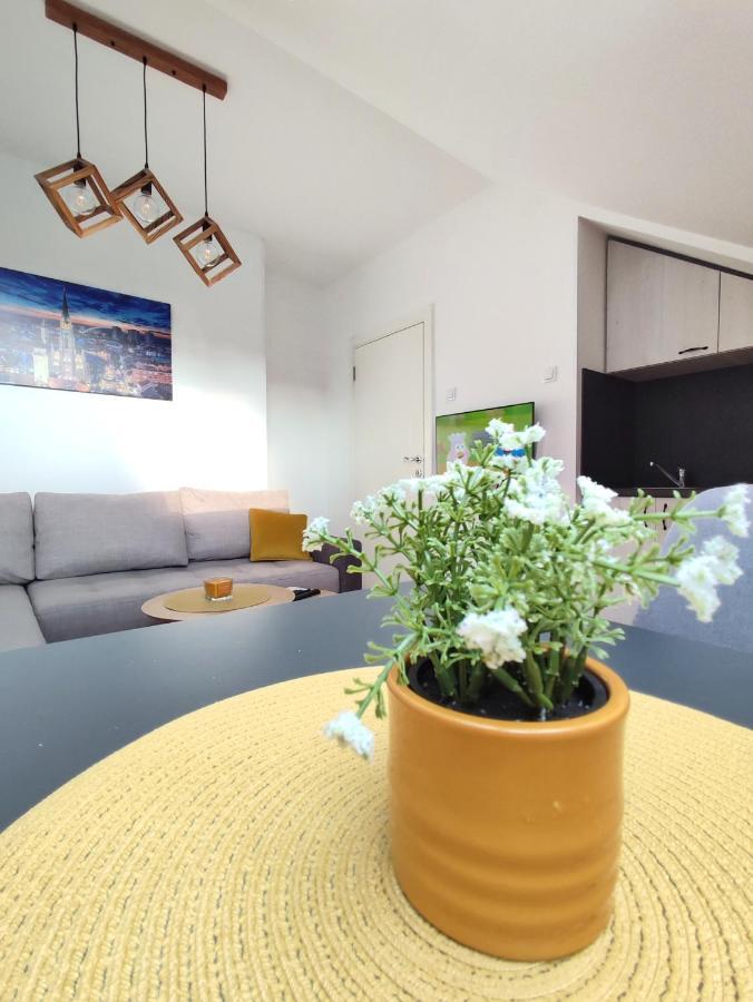 Apartman Ns Dan Private Parking Novi Sad Esterno foto